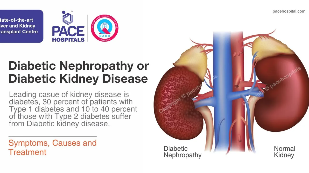 Nebivolol and Kidney Function: What Patients with Kidney Disease Should Know